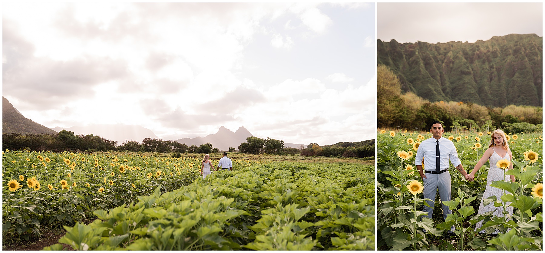 Waimanalo country farms elopement