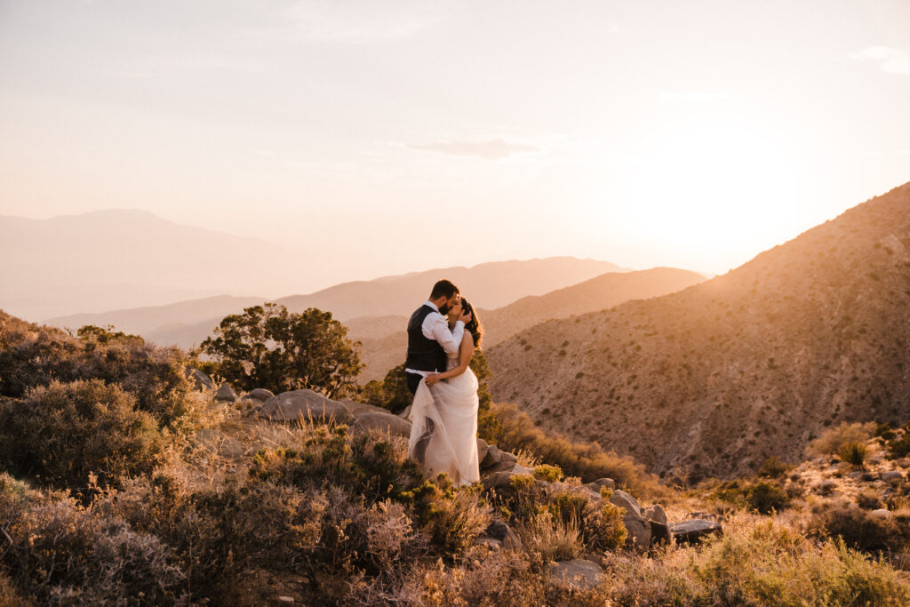 Eloping couple in Joshua Tree National Park at sunset