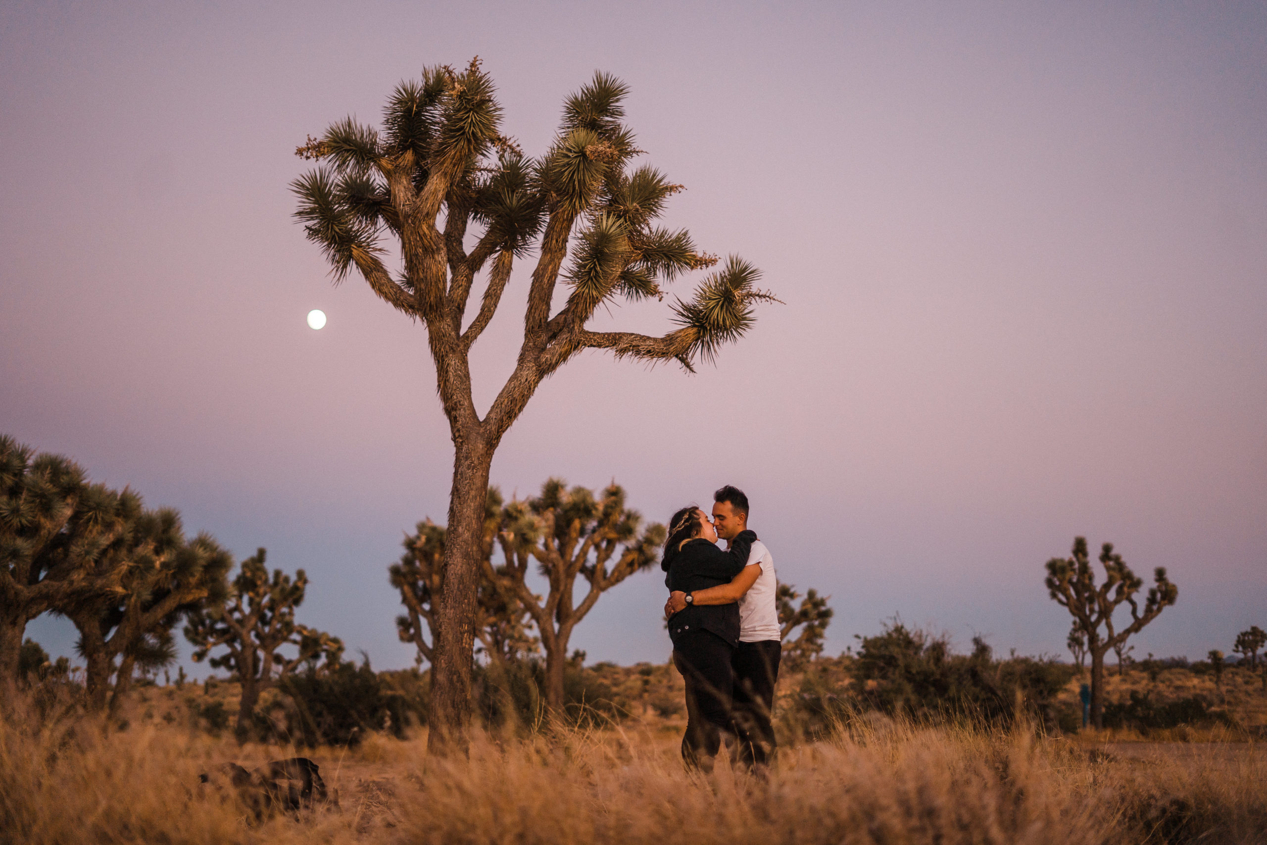 Couples photoshoot in Southern California