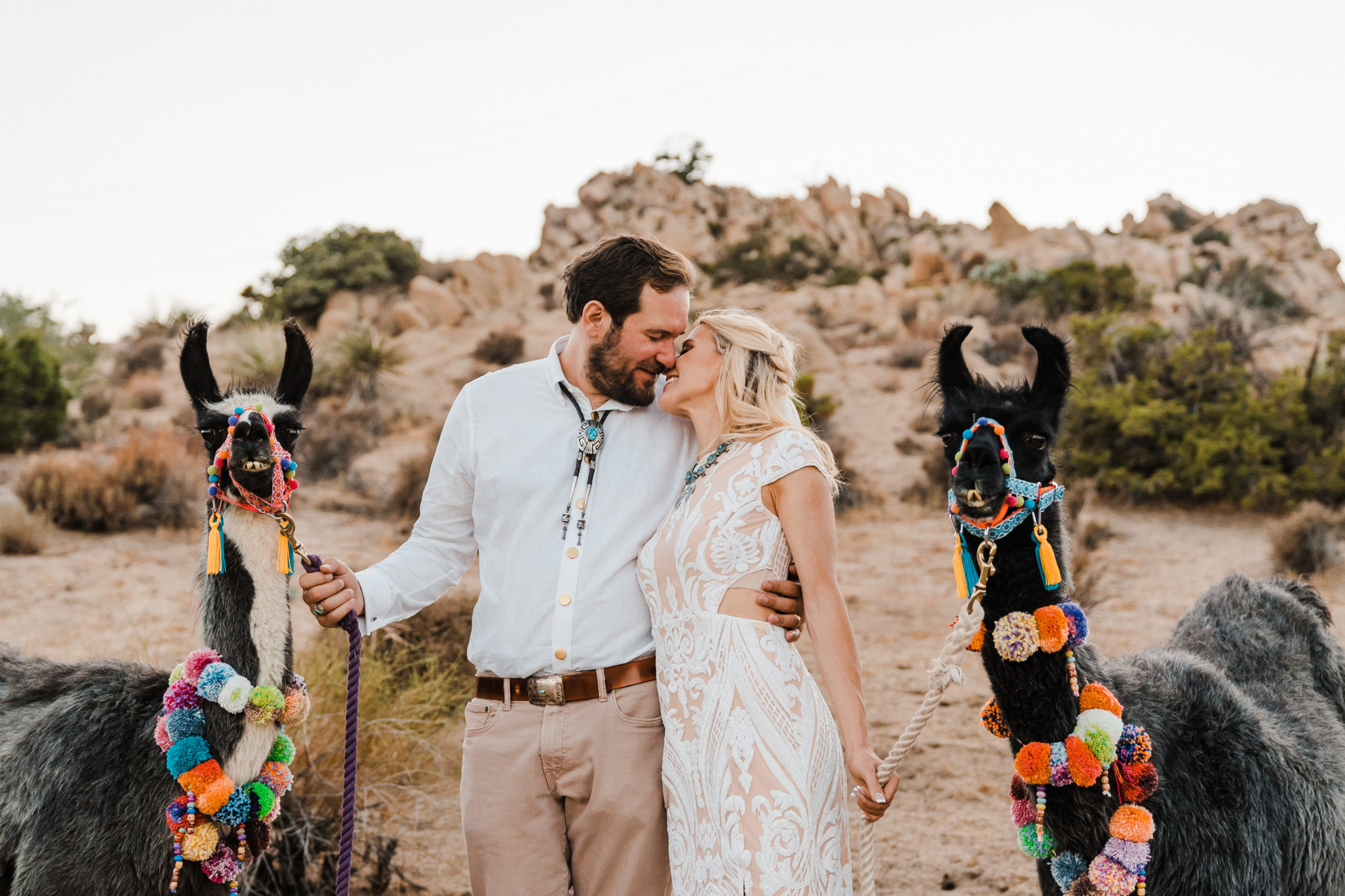 Llama wedding photo in Joshua Tree Airbnb