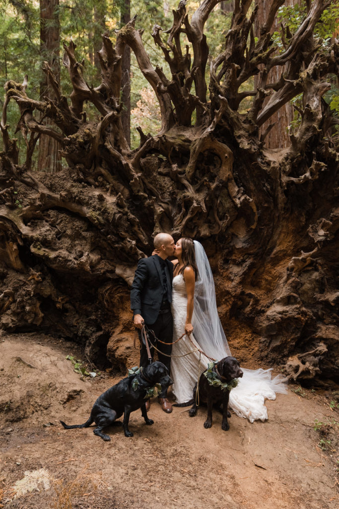 Redwood forest elopement | Ocean cliffside elopement | northern california elopement | california elopement photographer  | adventure wedding | redwoods elopement | redwood national park elopement | redwood national park wedding | forest elopement | redwood forest wedding | mendocino wedding | mendocino elopement | montgomery woods elopement | montgomery woods wedding | california redwoods elopement | california redwoods wedding | northern california elopement | elopement photographer | pnw elopement photographer | pnw wedding photographer | yoga elopement | couple doing yoga before wedding | elopement with dogs