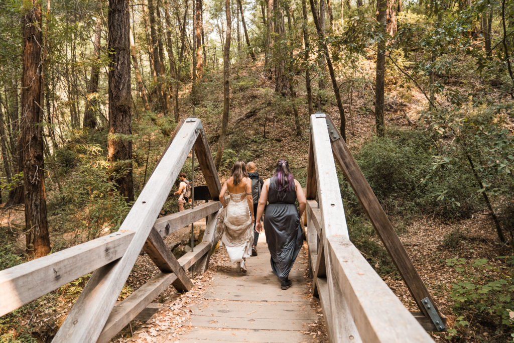 Redwood forest elopement | Ocean cliffside elopement | northern california elopement | california elopement photographer  | adventure wedding | redwoods elopement | redwood national park elopement | redwood national park wedding | forest elopement | redwood forest wedding | mendocino wedding | mendocino elopement | montgomery woods elopement | montgomery woods wedding | california redwoods elopement | california redwoods wedding | northern california elopement | elopement photographer | pnw elopement photographer | pnw wedding photographer | yoga elopement | couple doing yoga before wedding | elopement with dogs