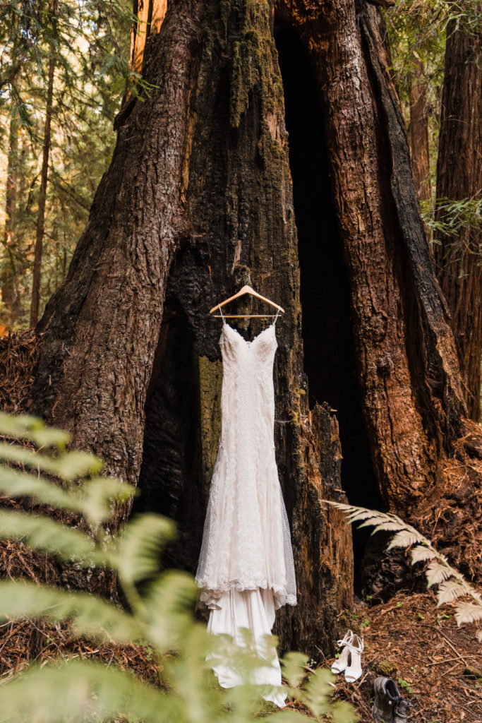 Redwood forest elopement | Ocean cliffside elopement | northern california elopement | california elopement photographer  | adventure wedding | redwoods elopement | redwood national park elopement | redwood national park wedding | forest elopement | redwood forest wedding | mendocino wedding | mendocino elopement | montgomery woods elopement | montgomery woods wedding | california redwoods elopement | california redwoods wedding | northern california elopement | elopement photographer | pnw elopement photographer | pnw wedding photographer | yoga elopement | couple doing yoga before wedding