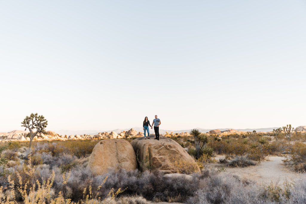 Joshua Tree Elopement Photographer and Videographer