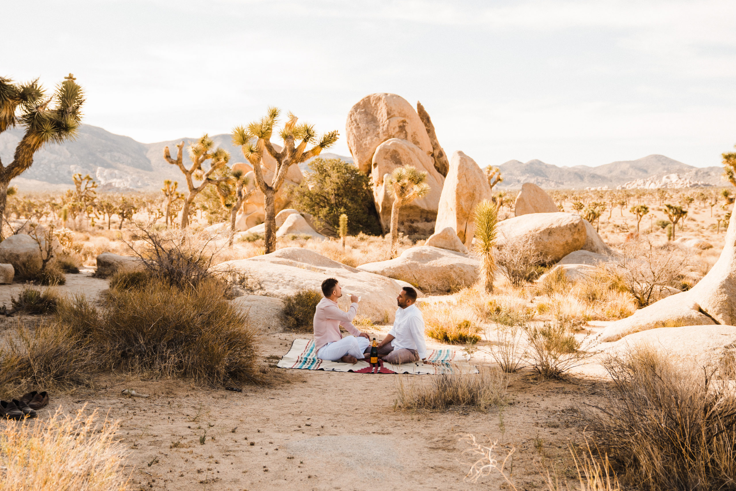 joshua tree elopement picnic