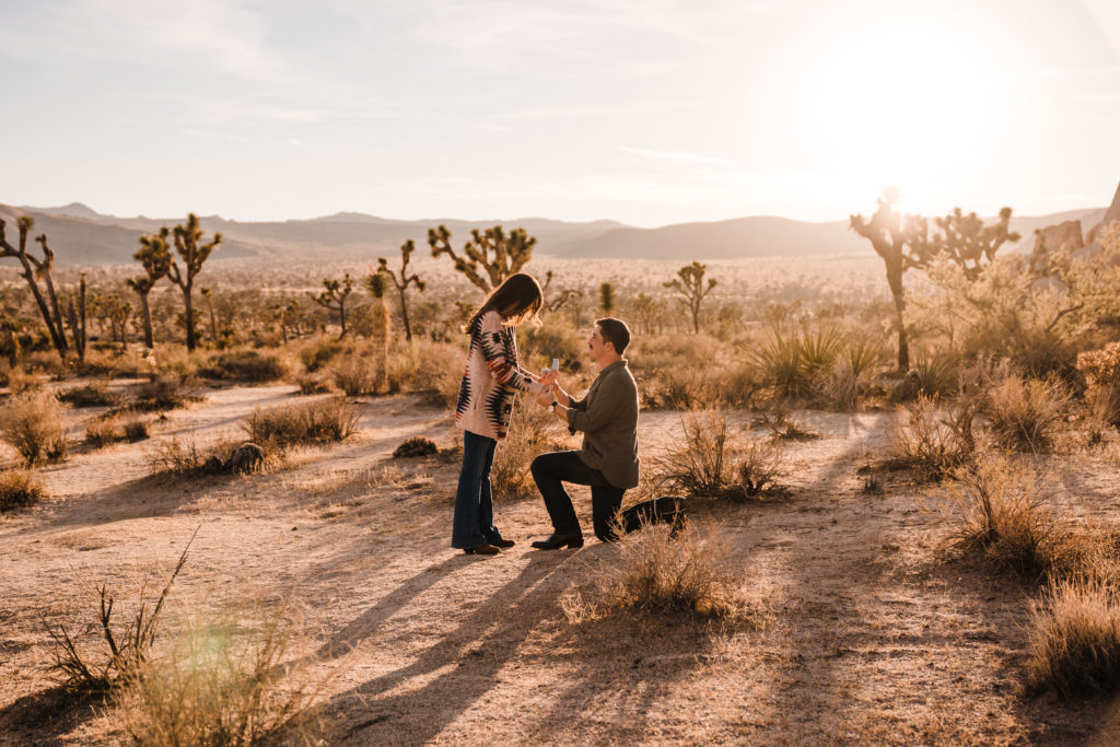 surprise proposal in joshua tree national park