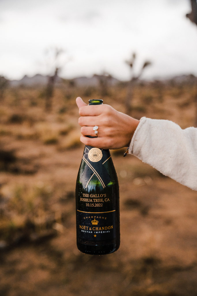 Bottle of champagne engagement pictures