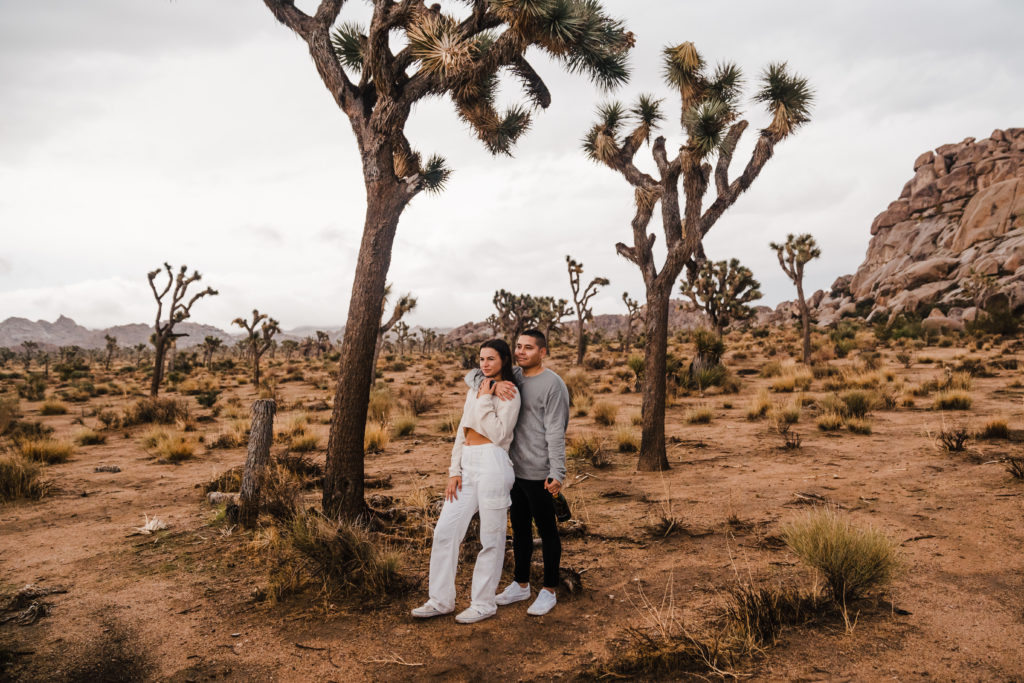 engagement pictures in Joshua Tree National Park desert