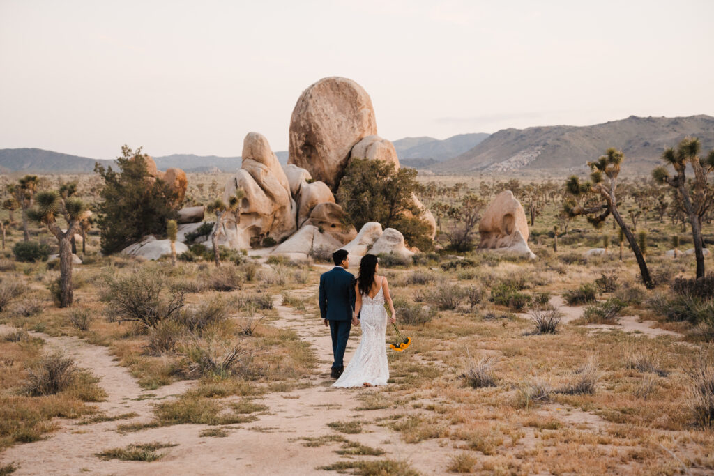 elopement photos in joshua tree national park