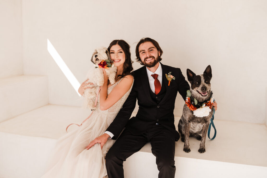 bride and groom with dogs