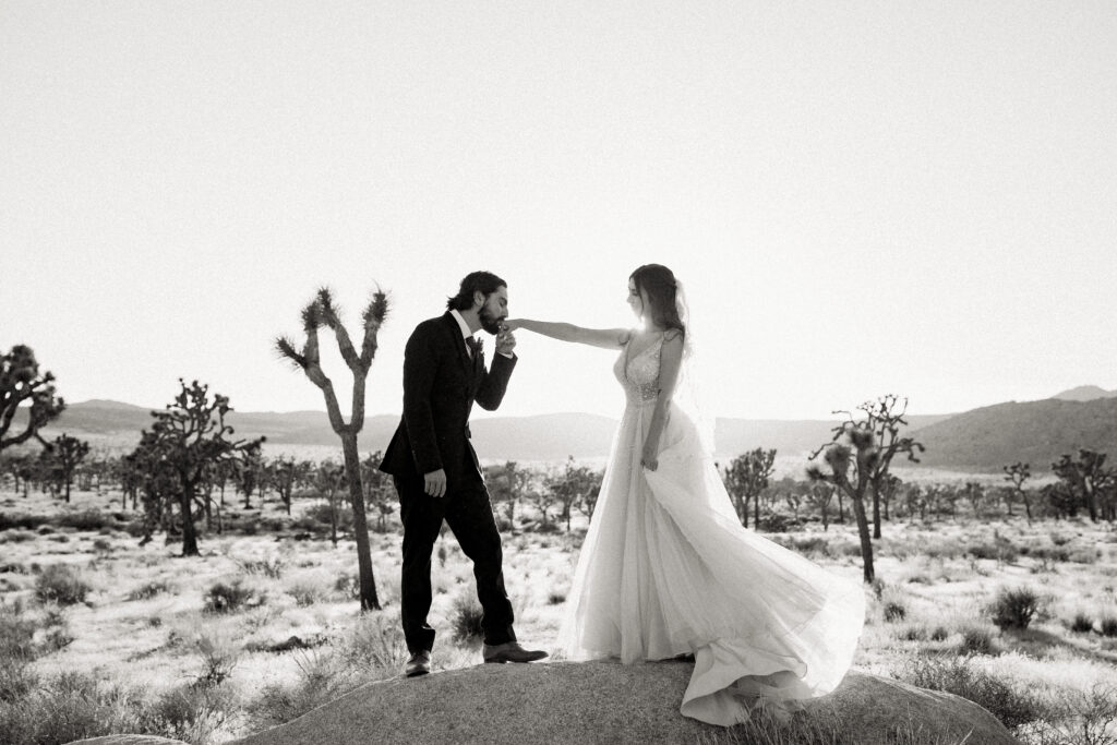 joshua tree wedding at hidden valley romantic portrait of bride and groom